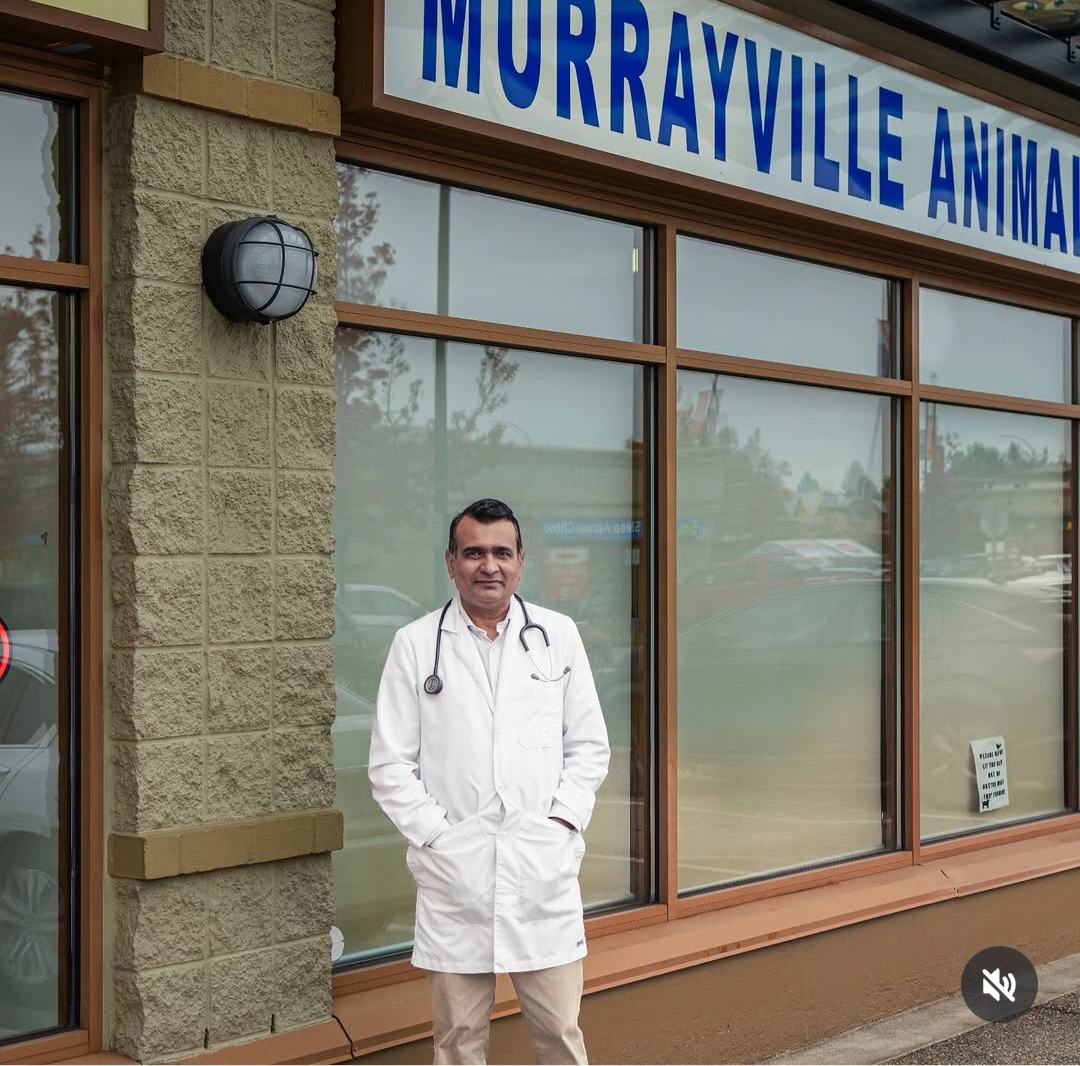Dr. V. Ahlawat, lead veterinarian